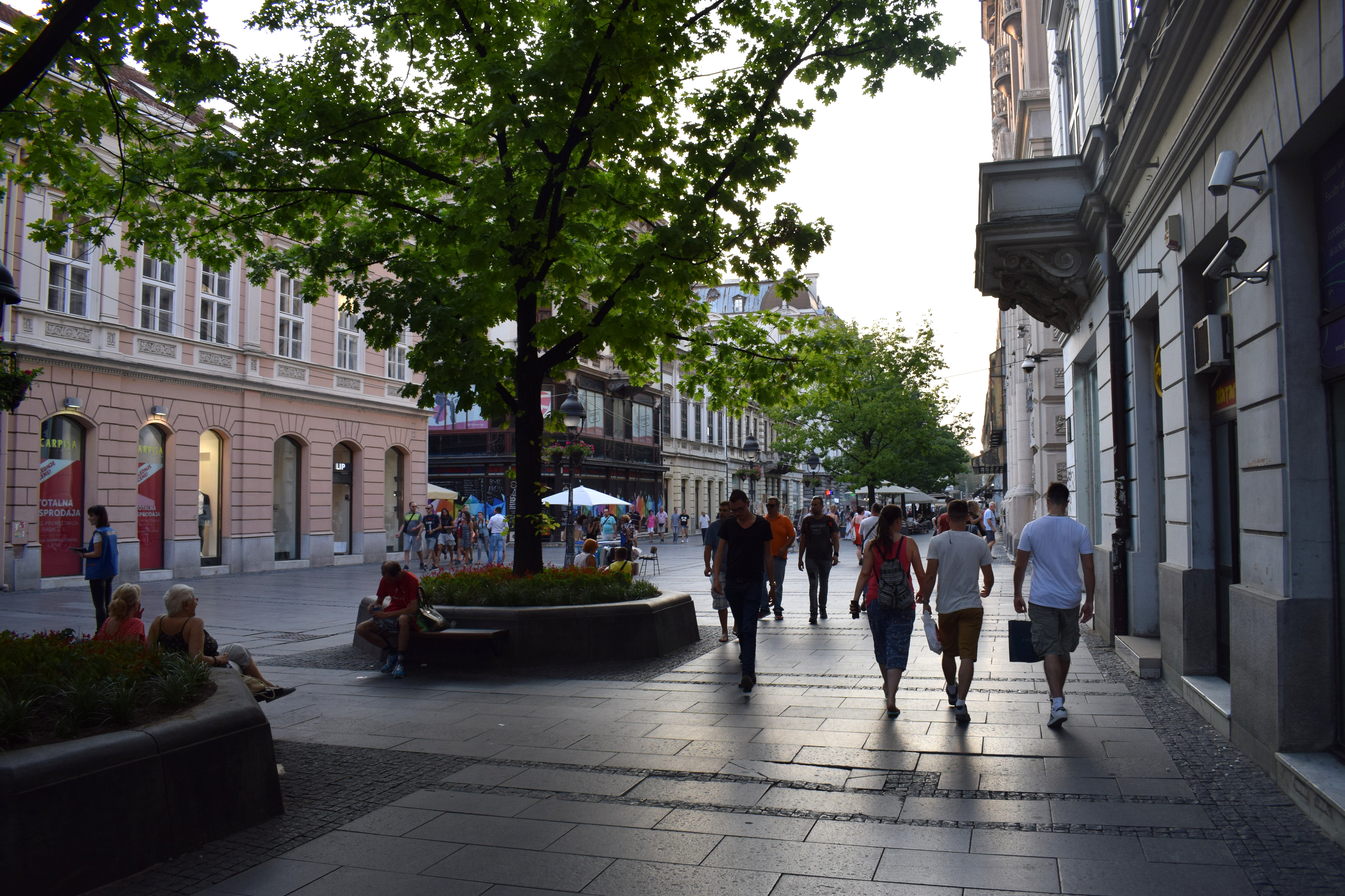 Tree-lined Knez Mihailova street in Belgrade, Serbia (Beograd, Srbija) 