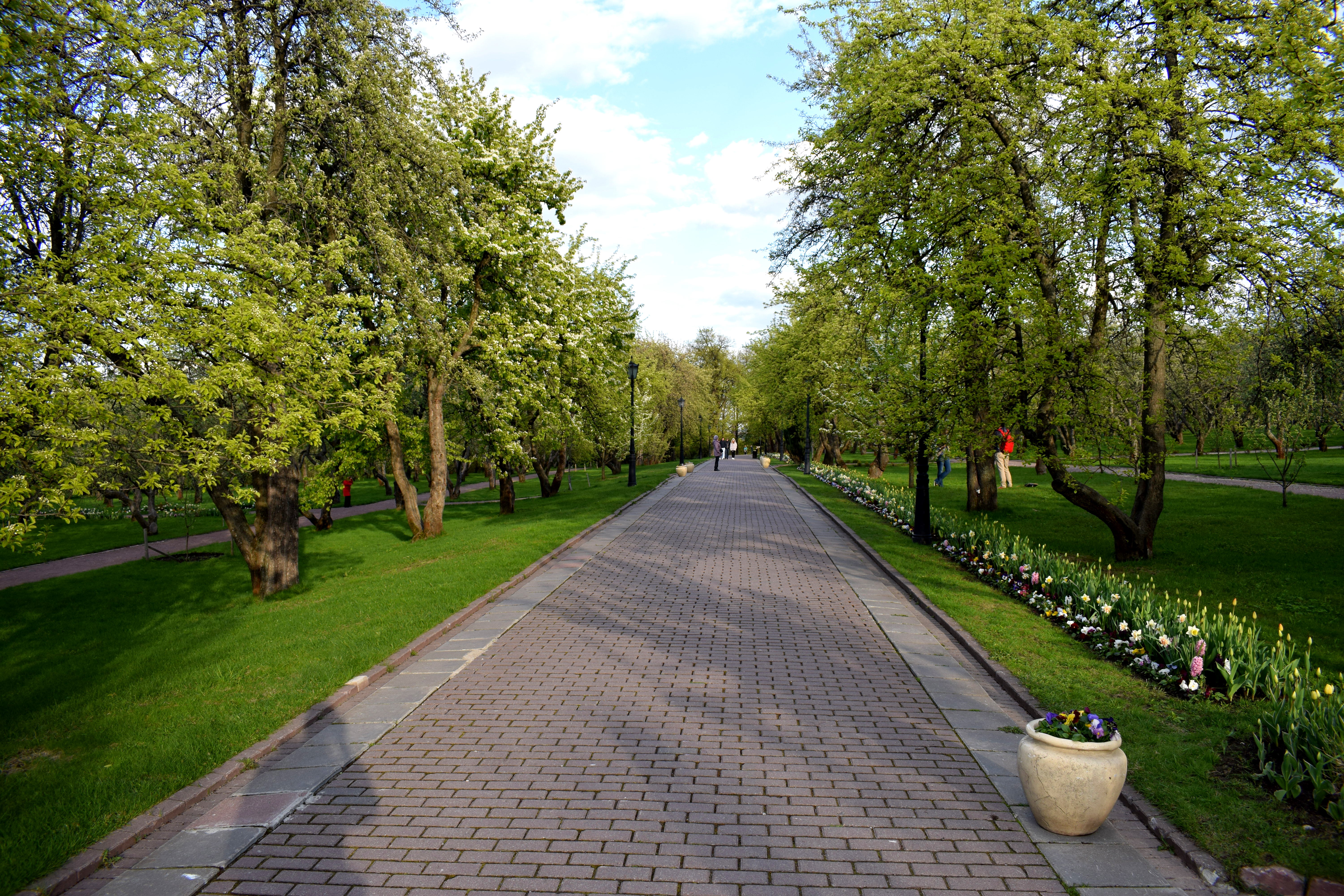 Kolomenskoye Park Moscow Коломенское