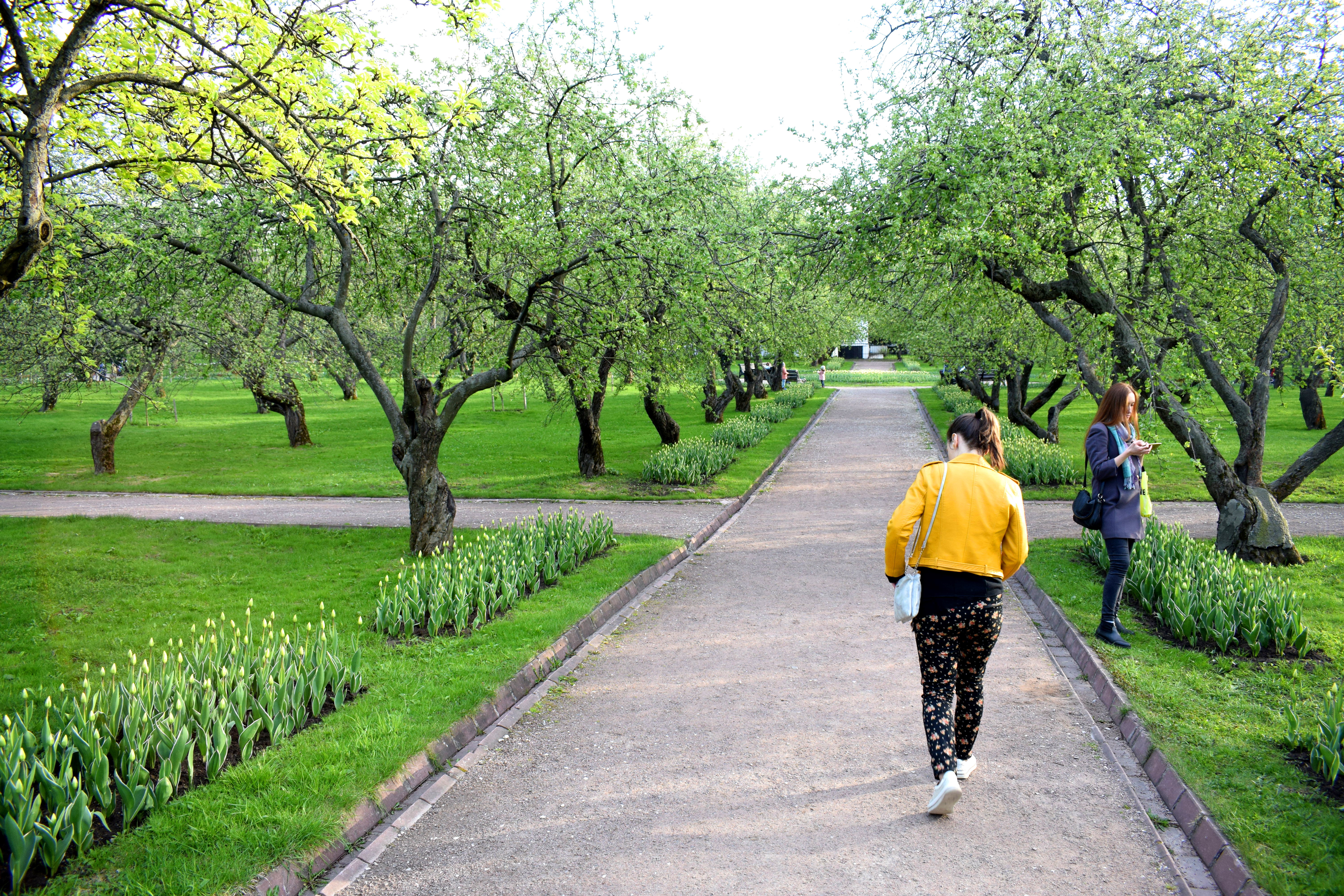 Kolomenskoye Park Moscow Коломенское