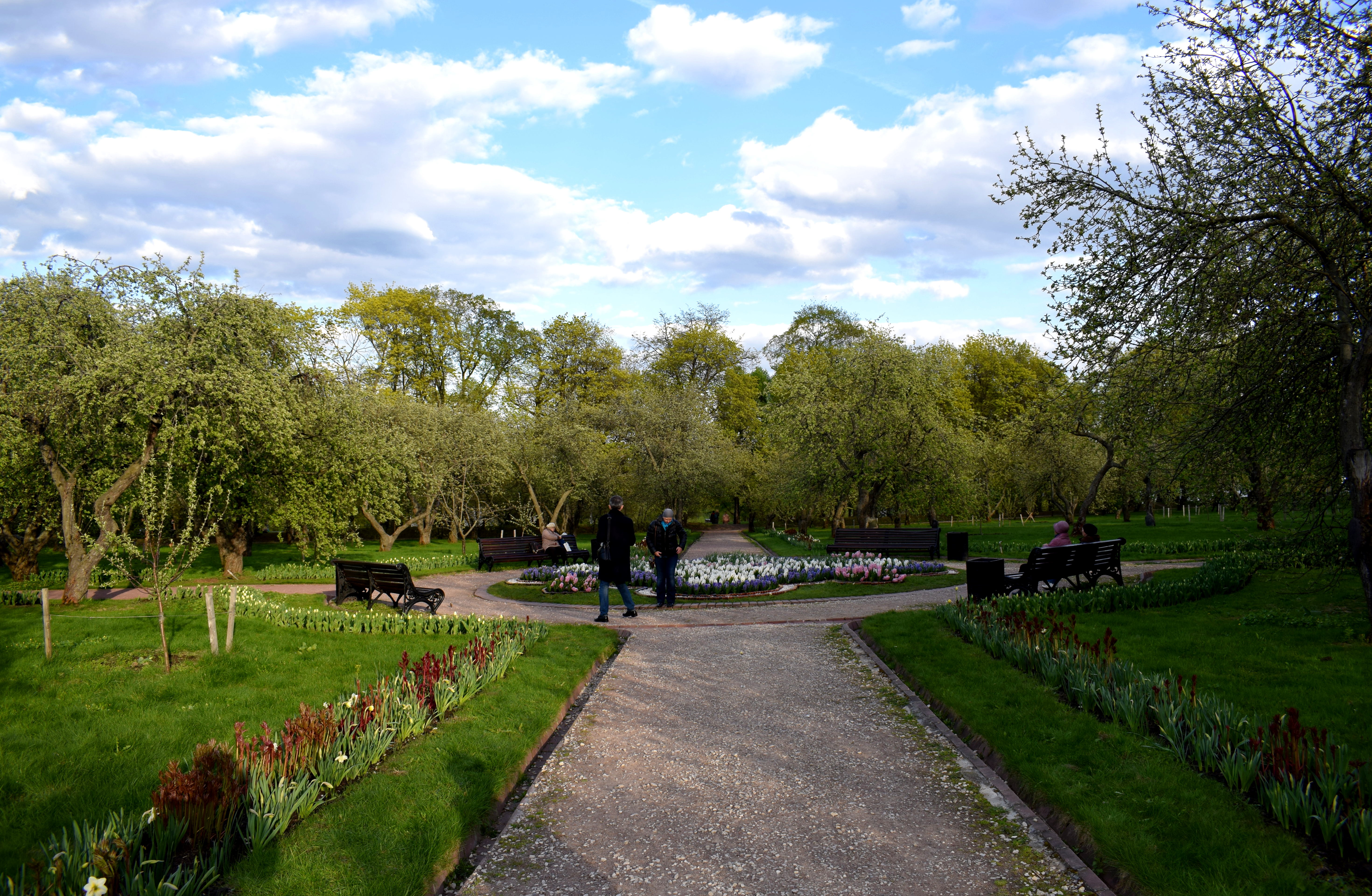 Kolomenskoye Park Moscow Коломенское