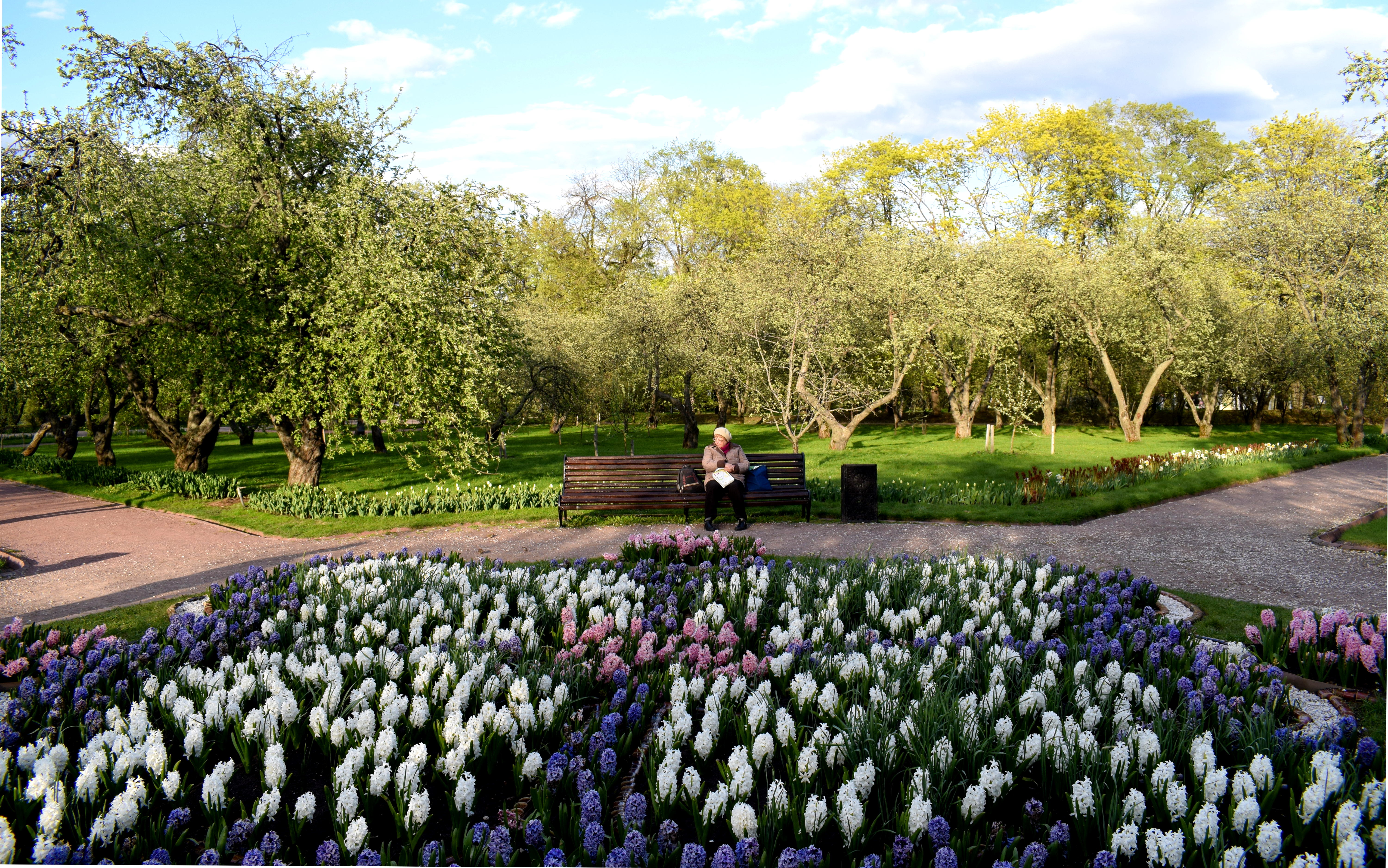 Kolomenskoye Park Moscow Коломенское