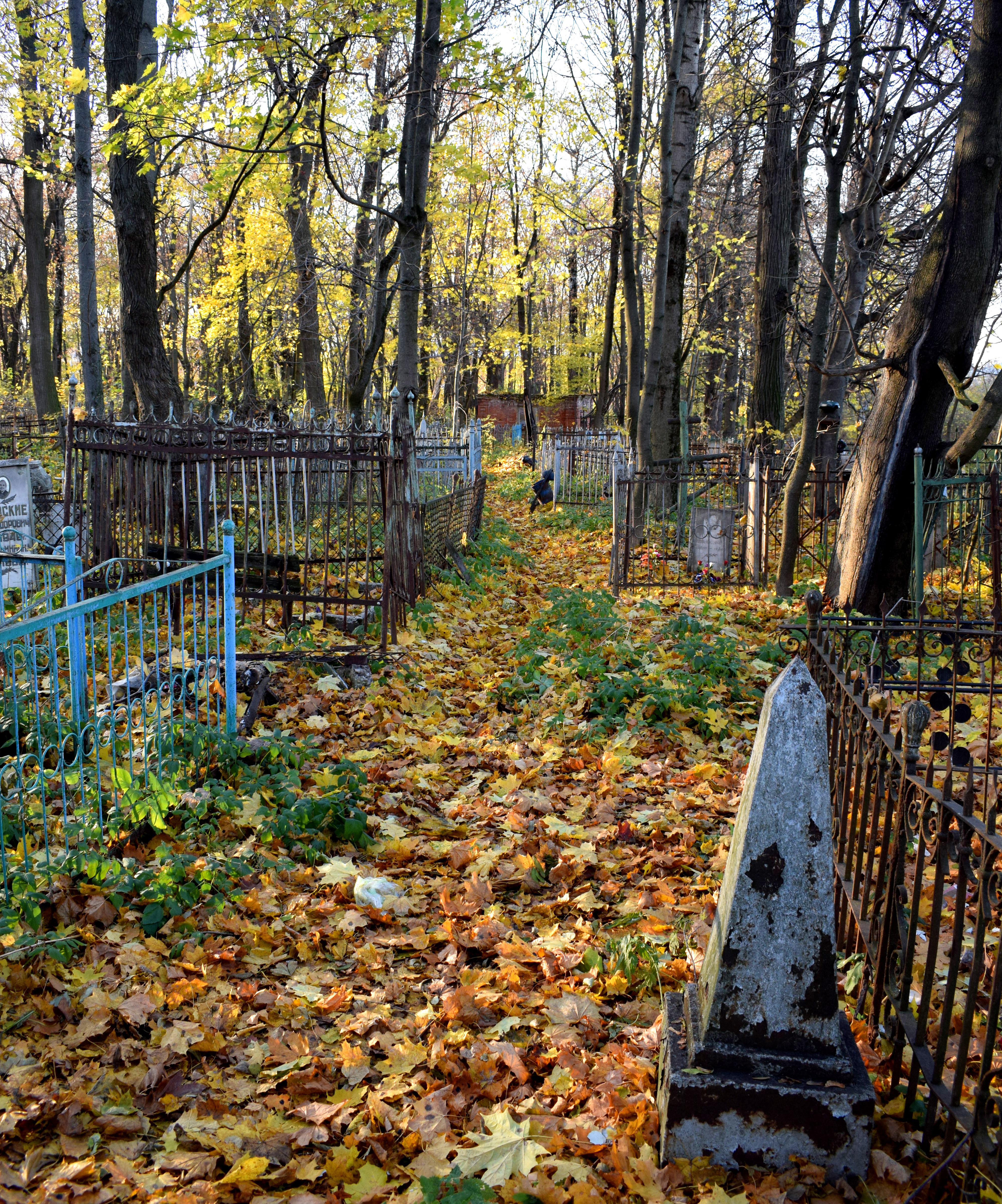 Russian Cemetary in Tula