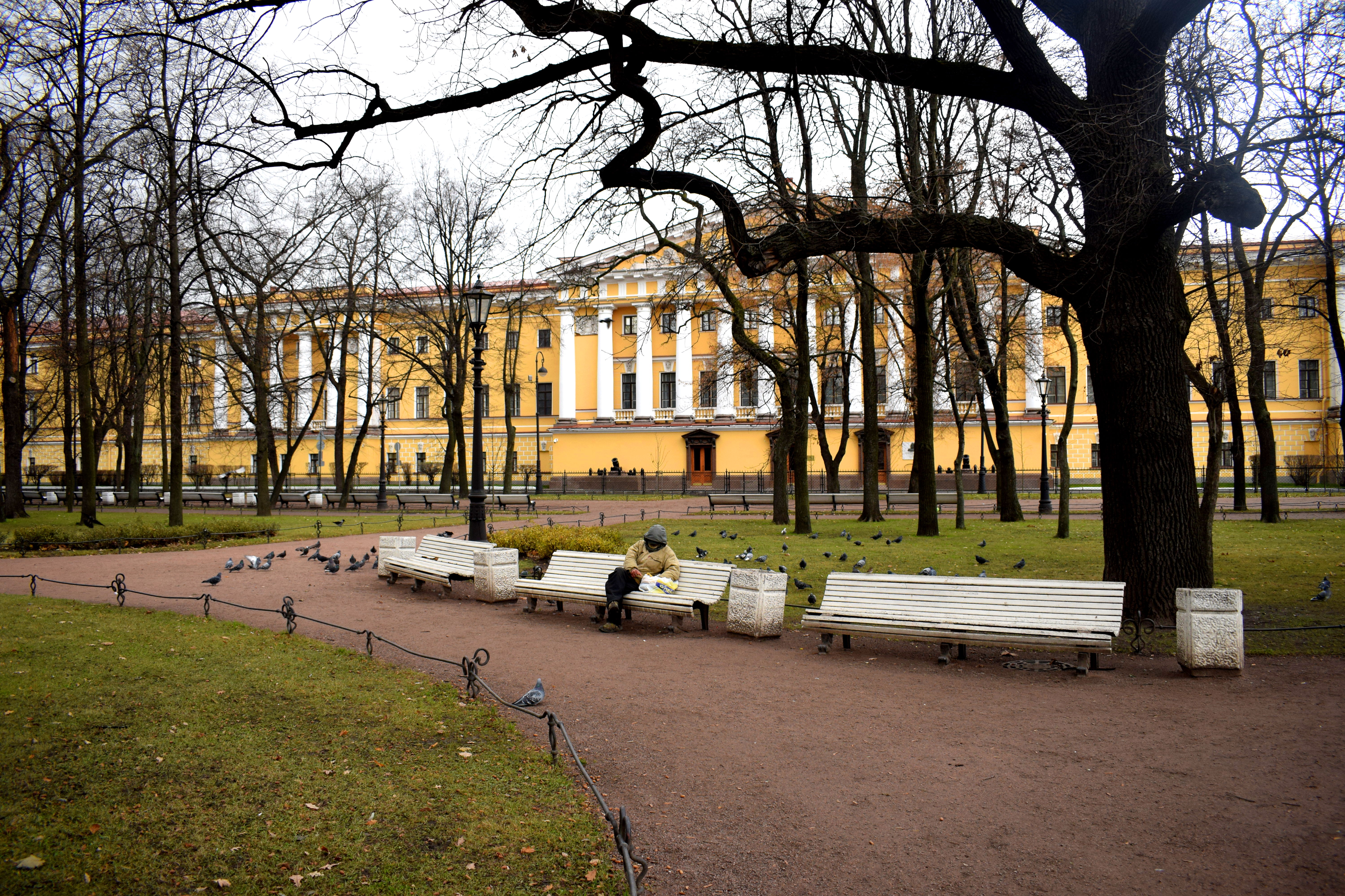 Saint Petersburg Russia City Park Питер 