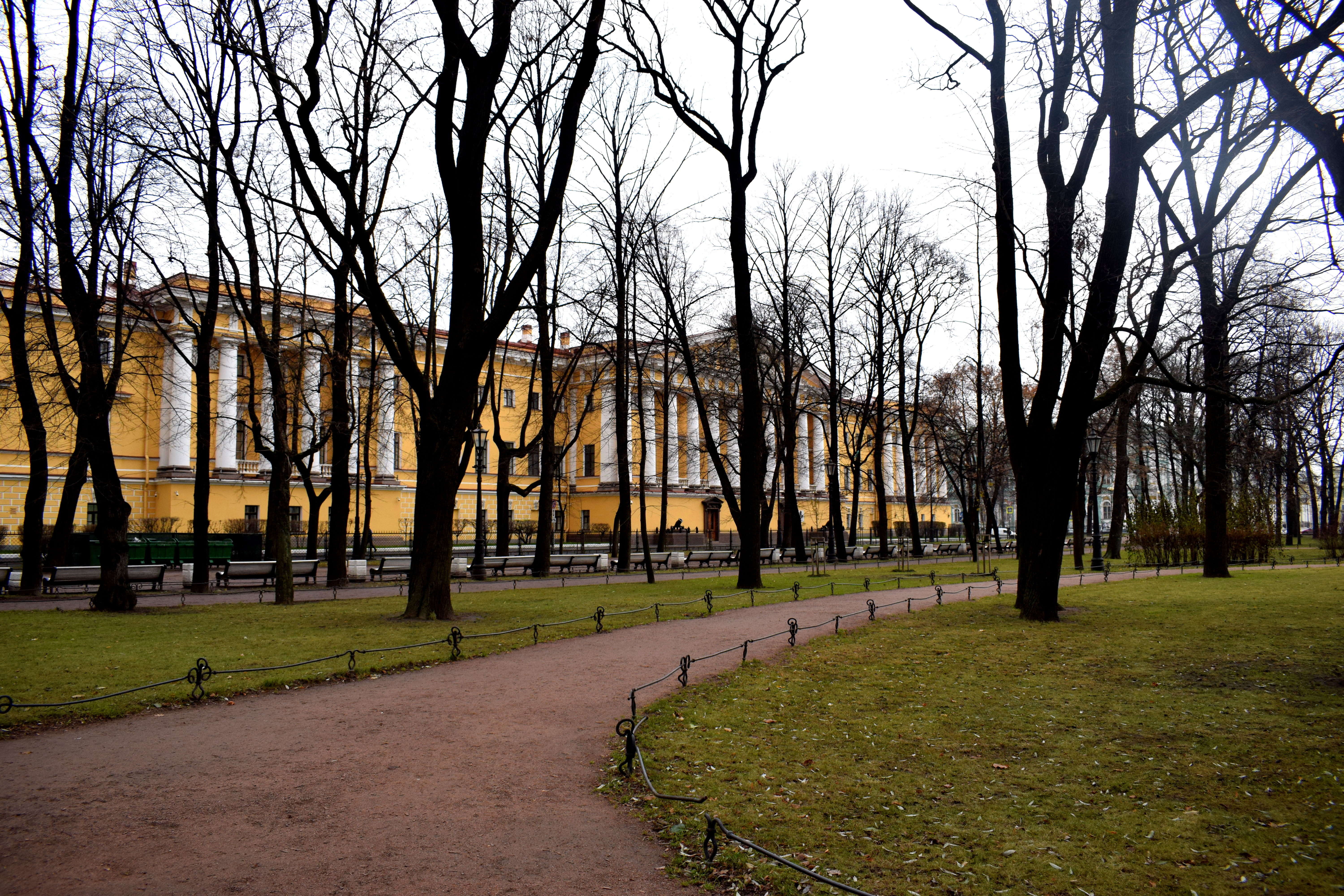 Saint Petersburg Russia City Park Питер 