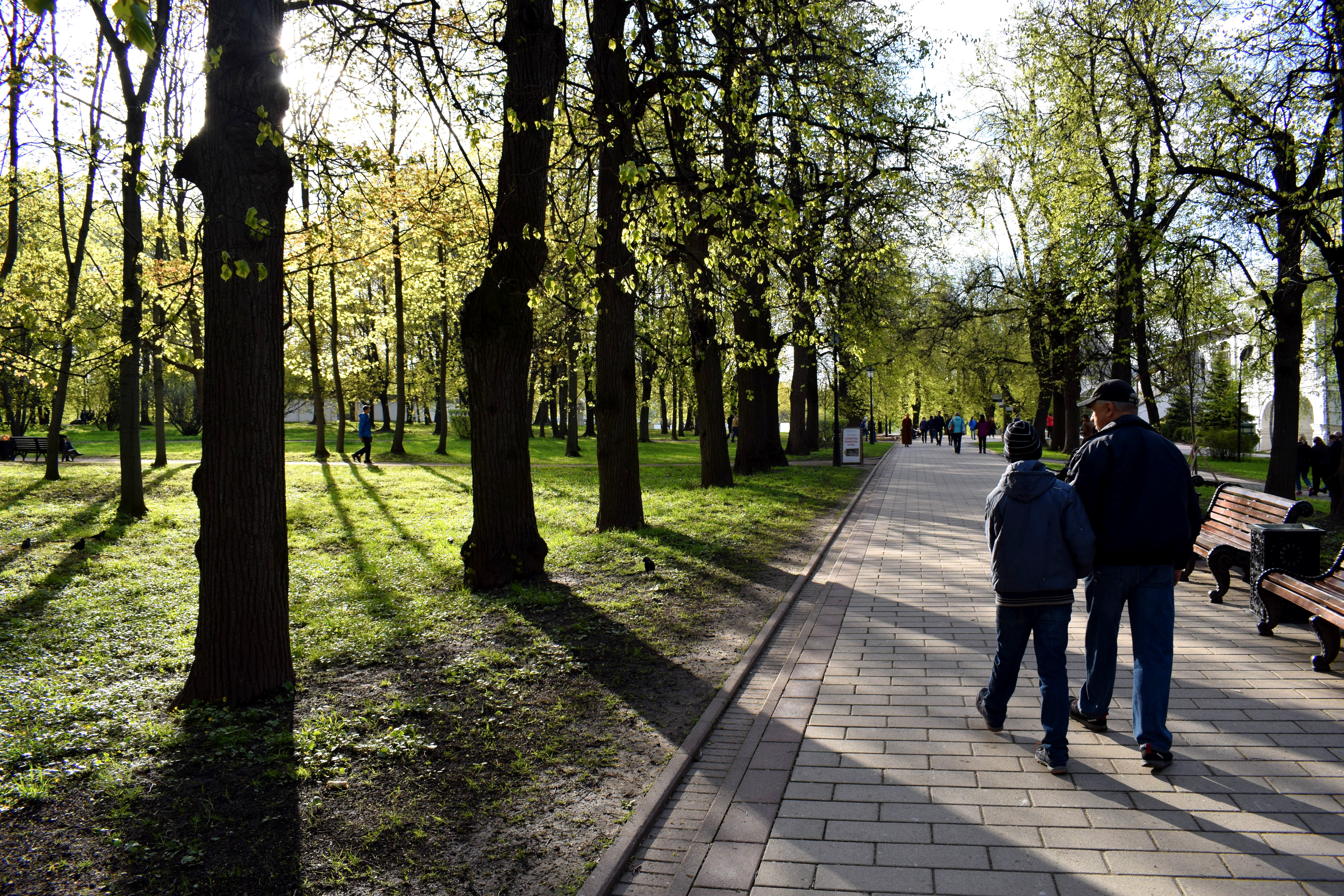 Kolomenskoye Park Moscow Коломенское