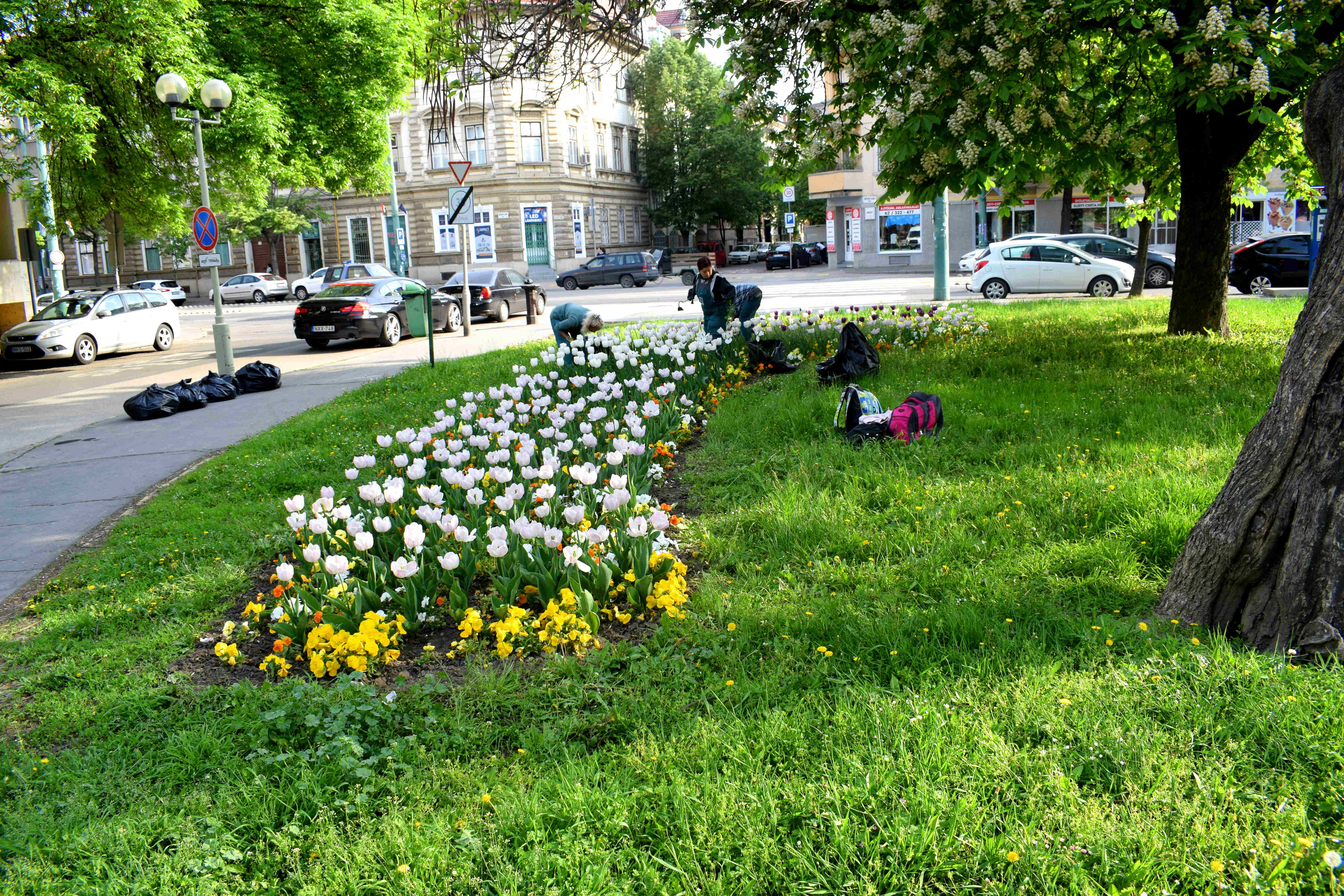 Szeged, Hungary Park