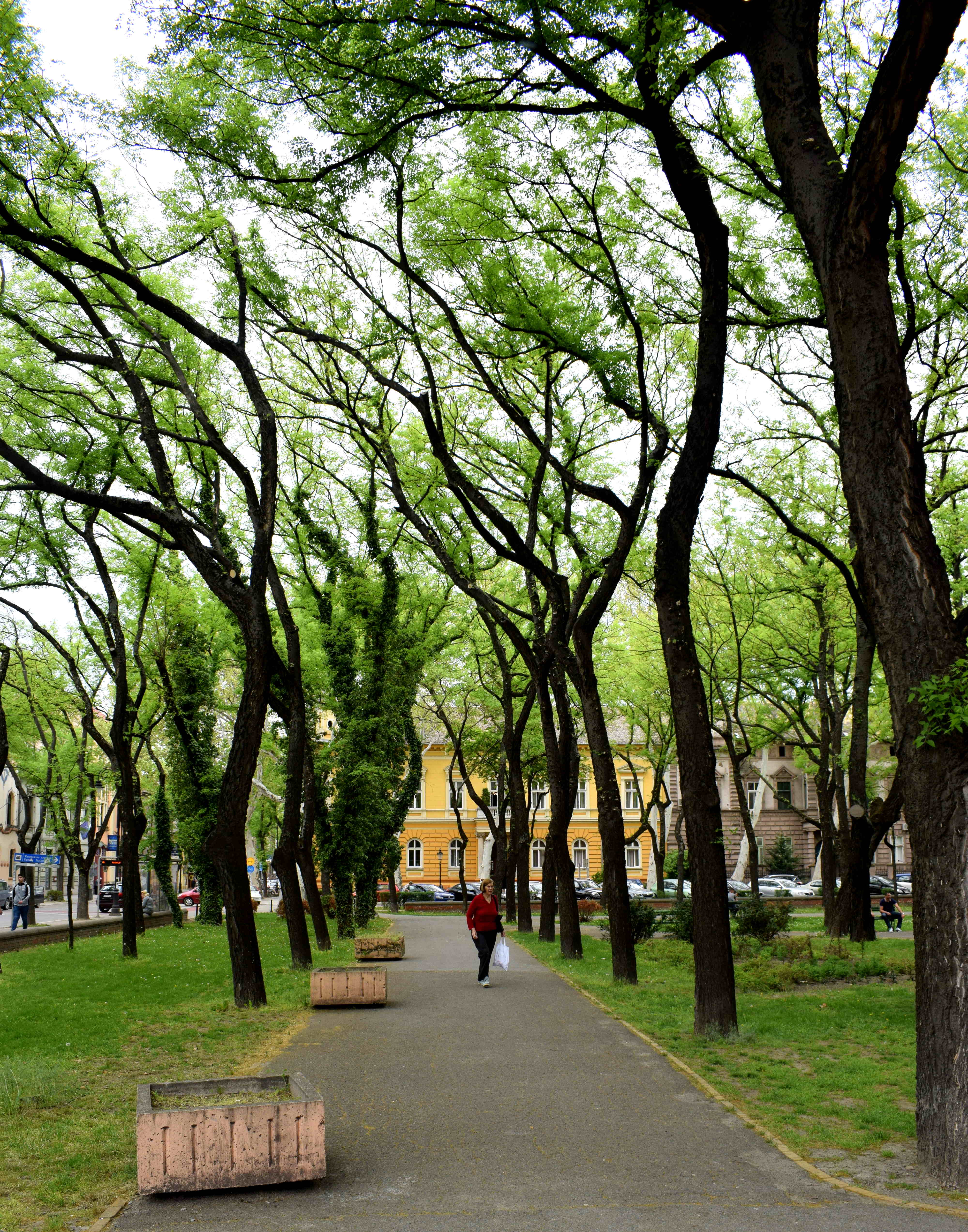 Subotica, Serbia City Center