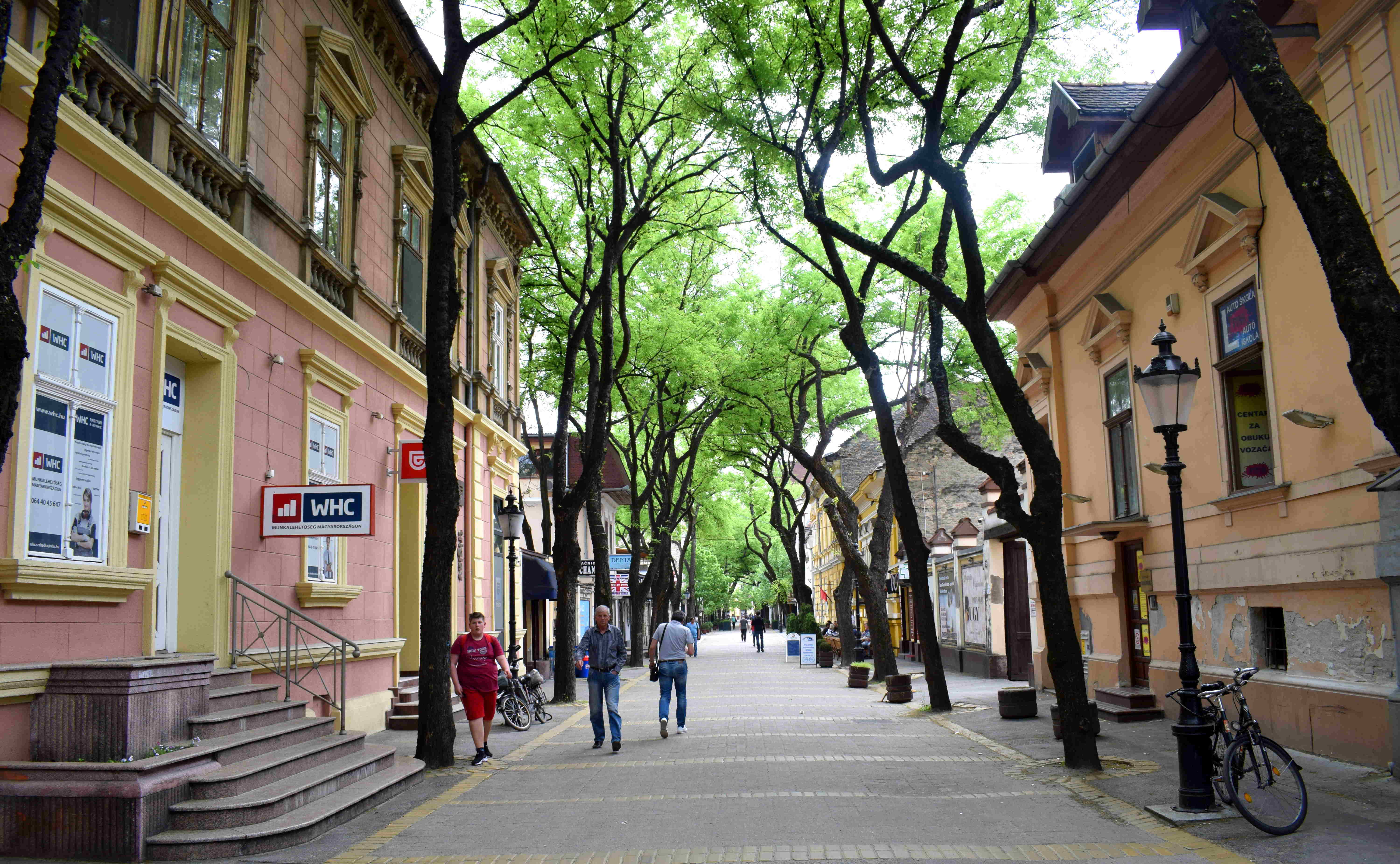 Subotica, Serbia Pedestrian Center