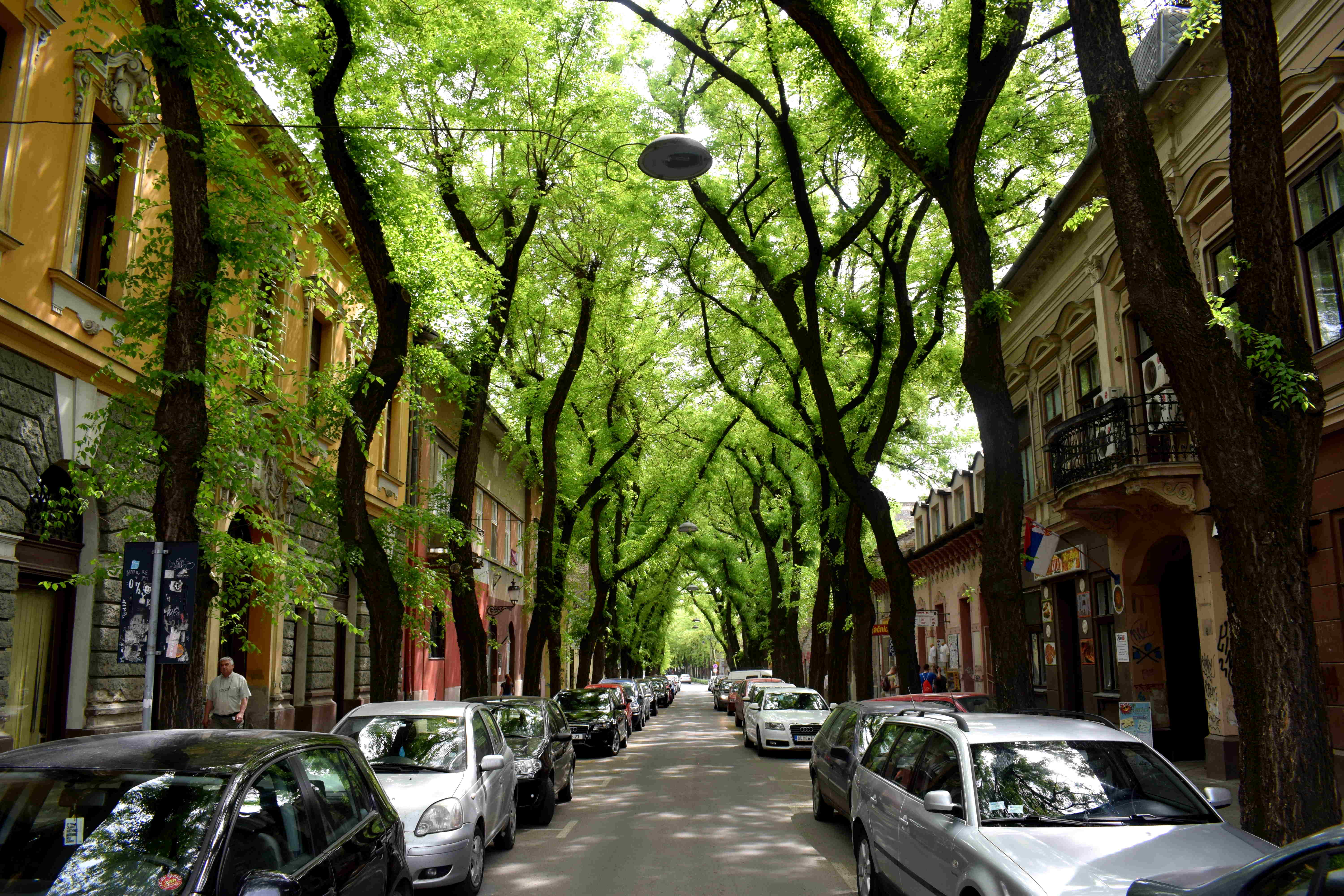 Subotica, Serbia City Center