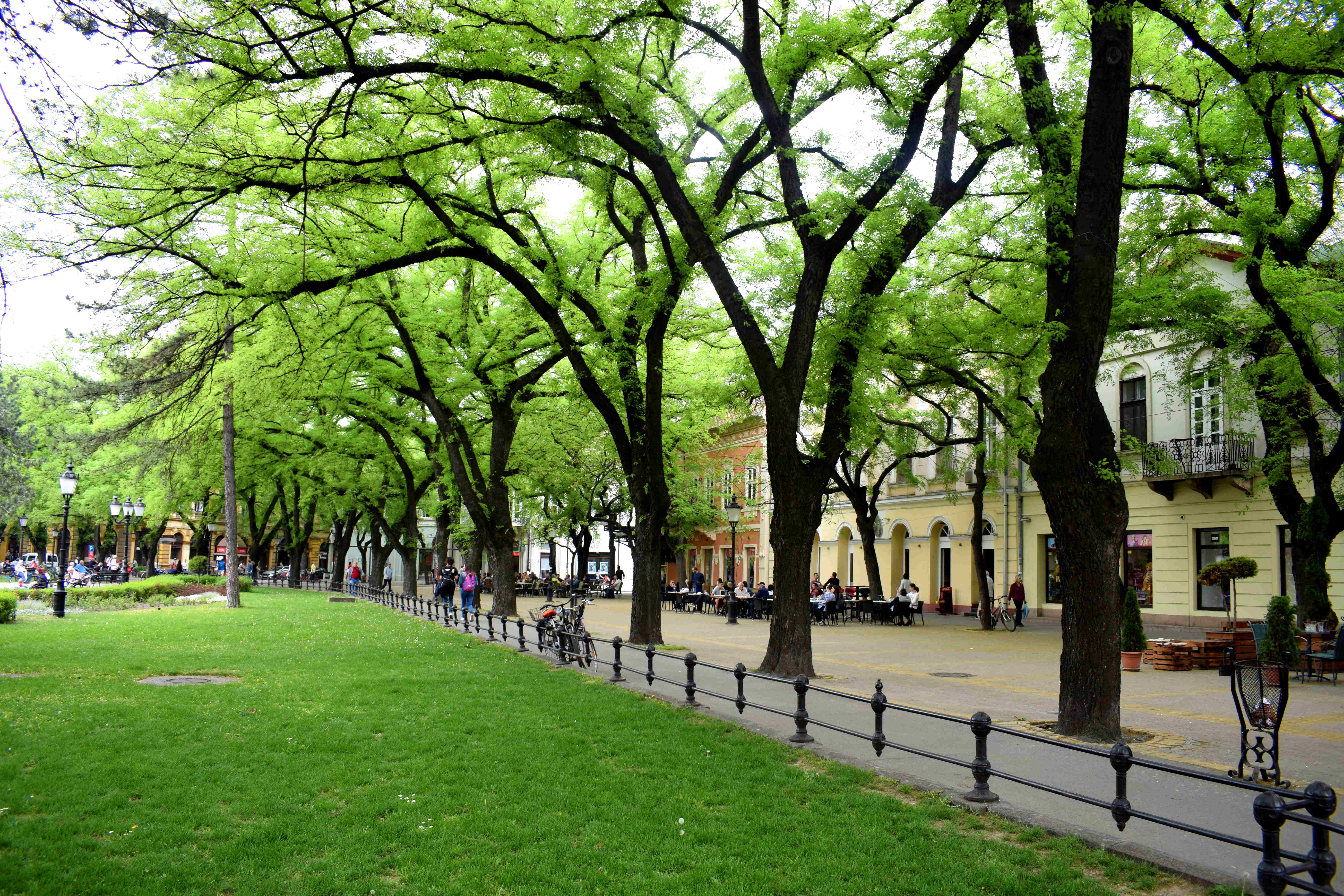 Subotica, Serbia City Center