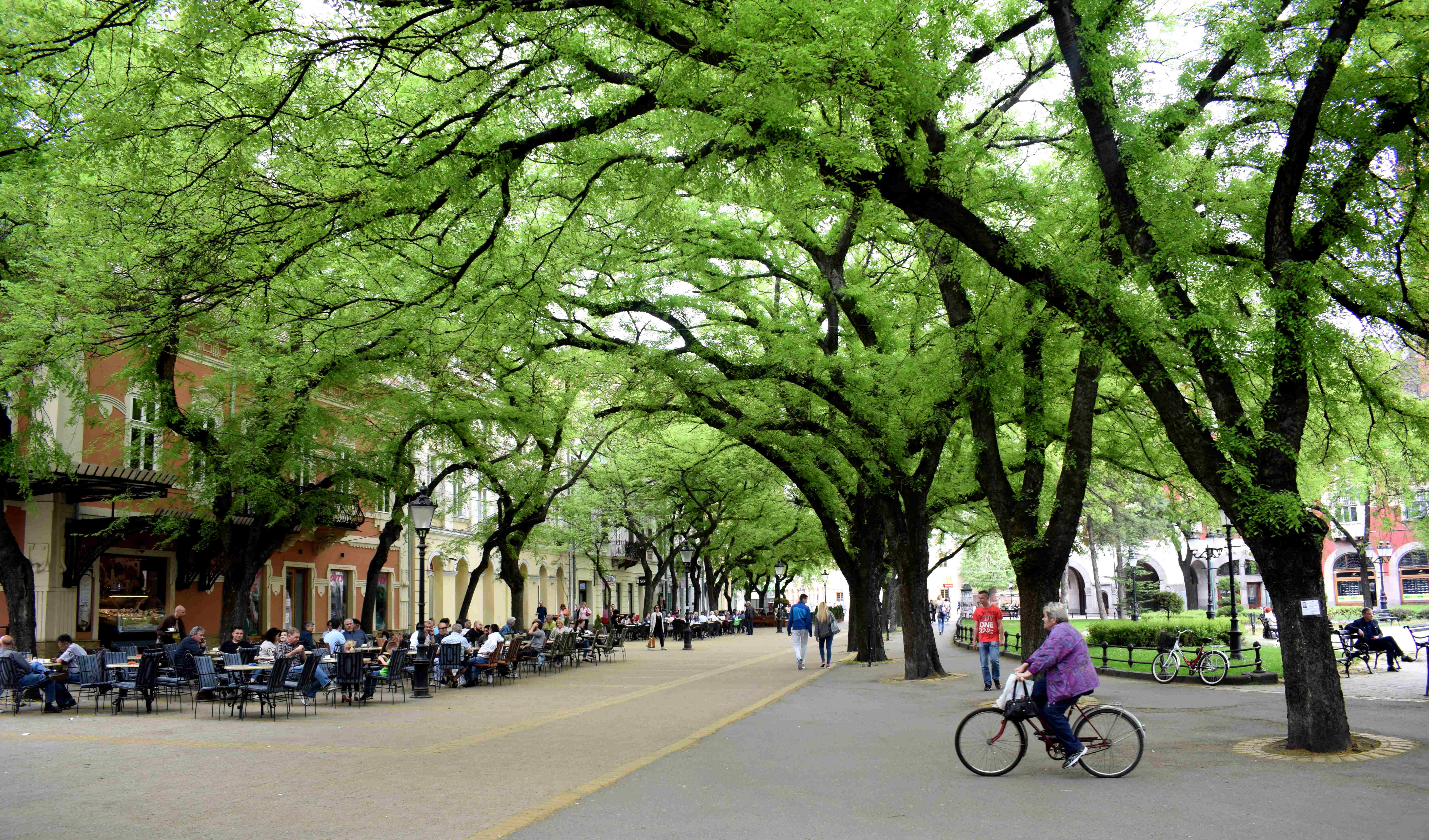 Subotica, Serbia Cycling