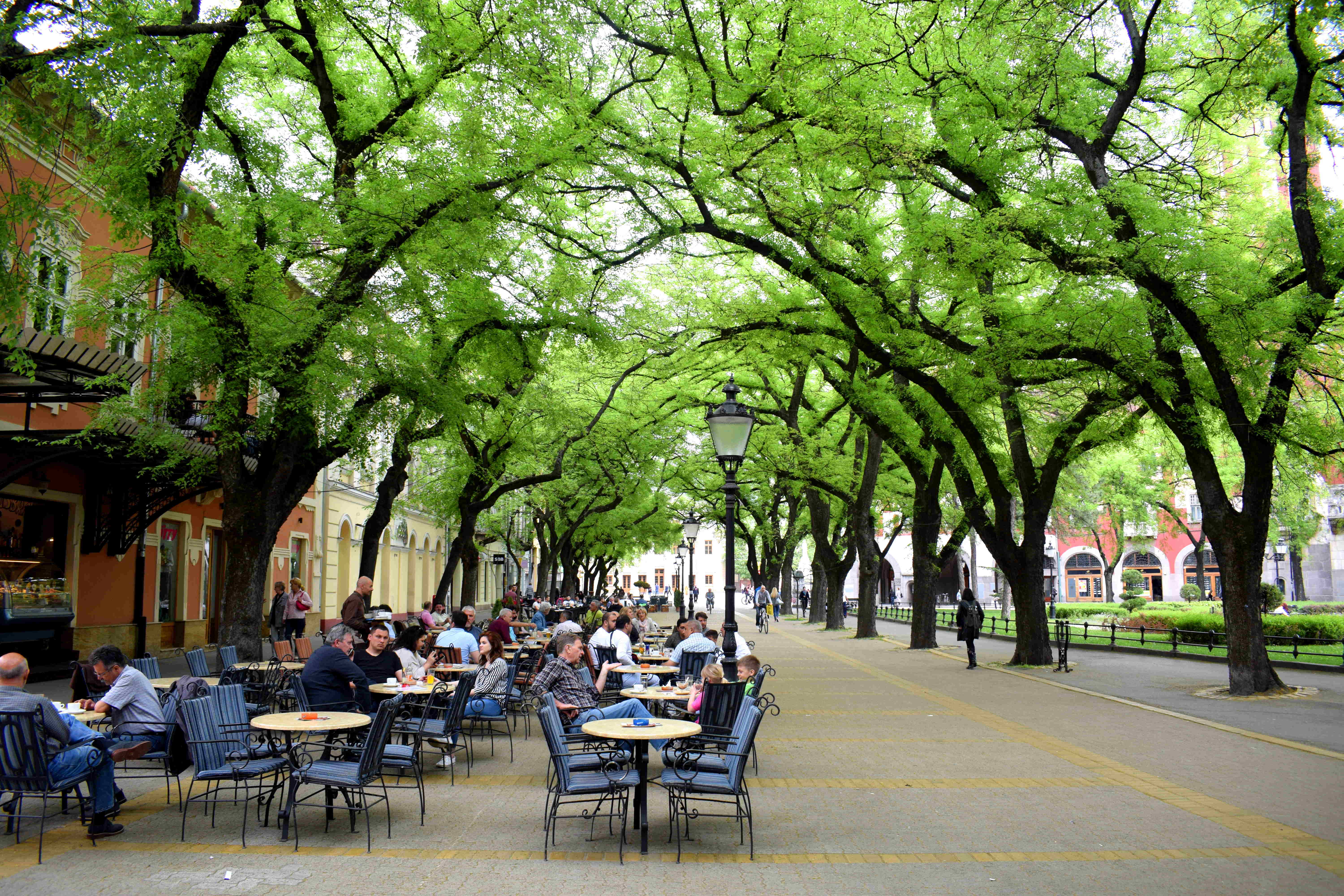 Subotica, Serbia City Center