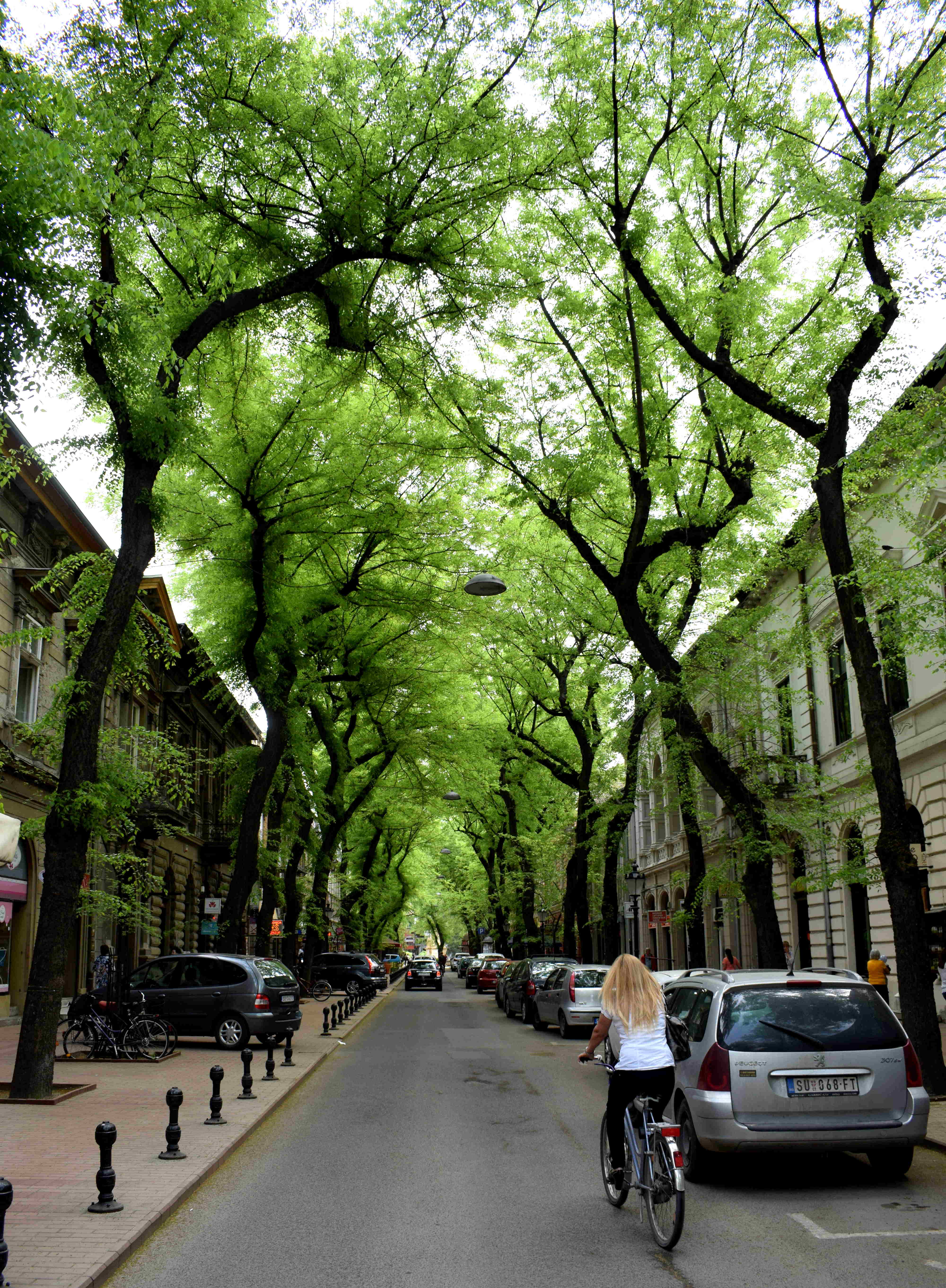 Subotica, Serbia Cycling