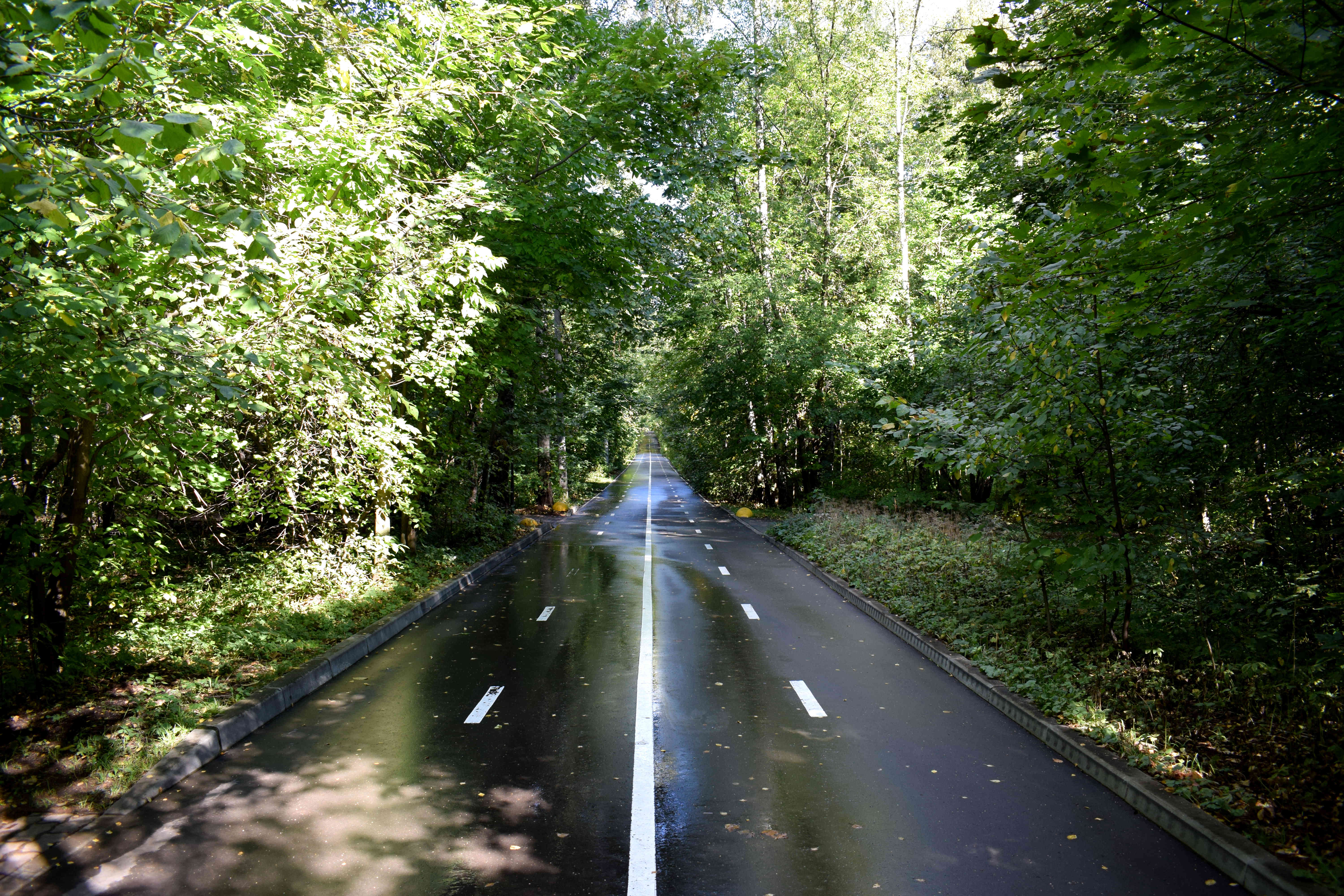 Sokolniki Park Moscow Сокольники Парк Москва