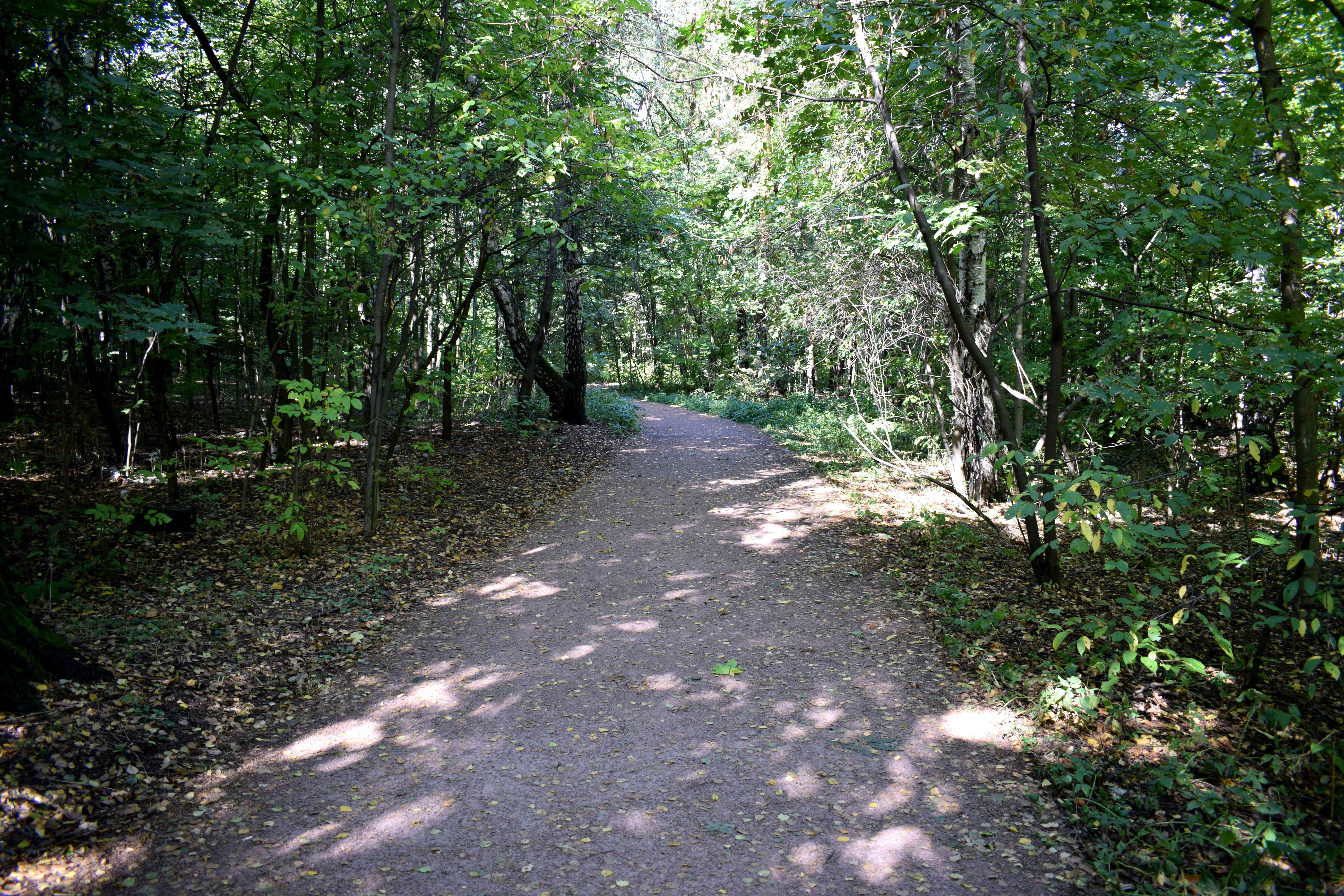 Sokolniki Park Moscow Сокольники Парк Москва