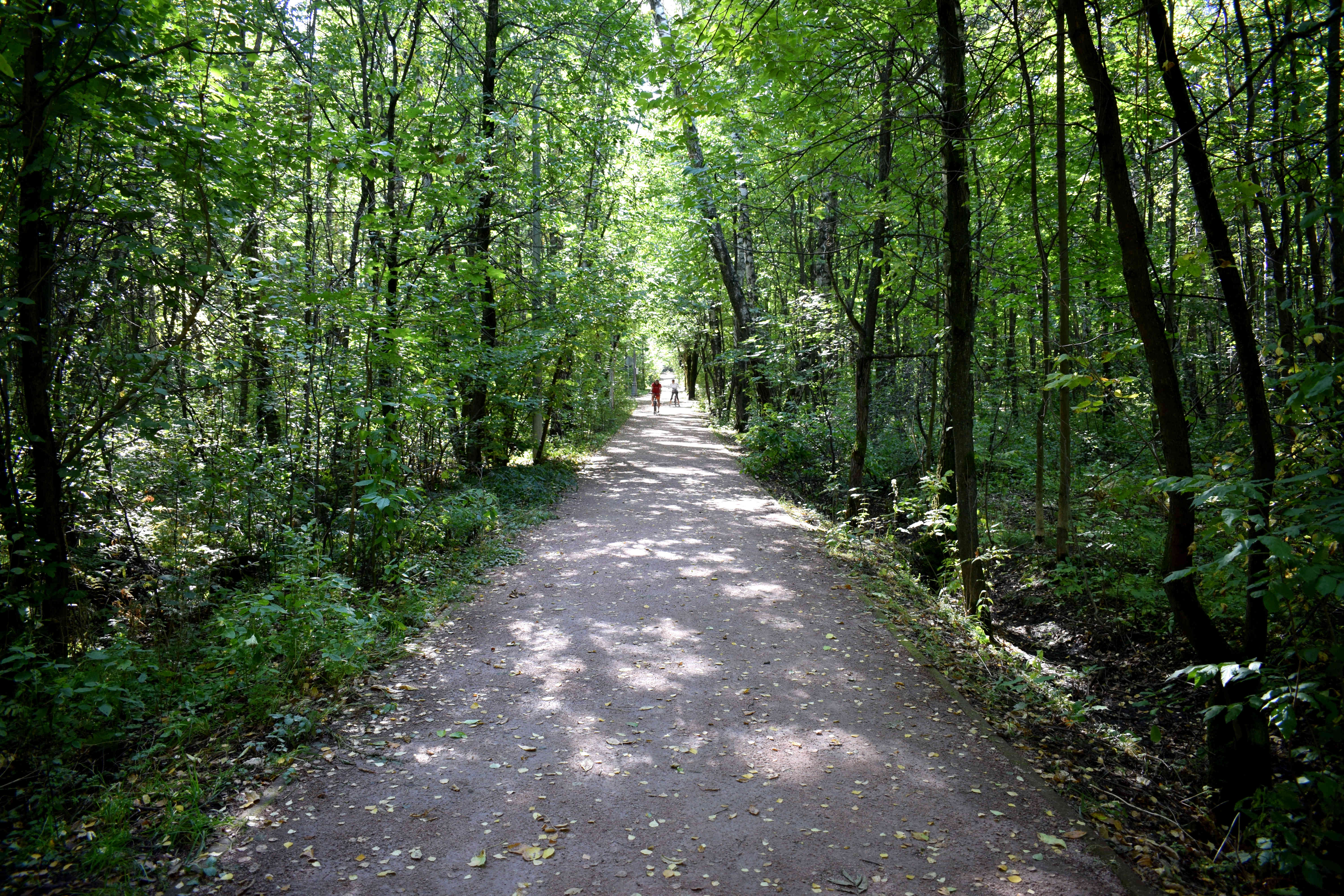 Sokolniki Park Moscow Сокольники Парк Москва