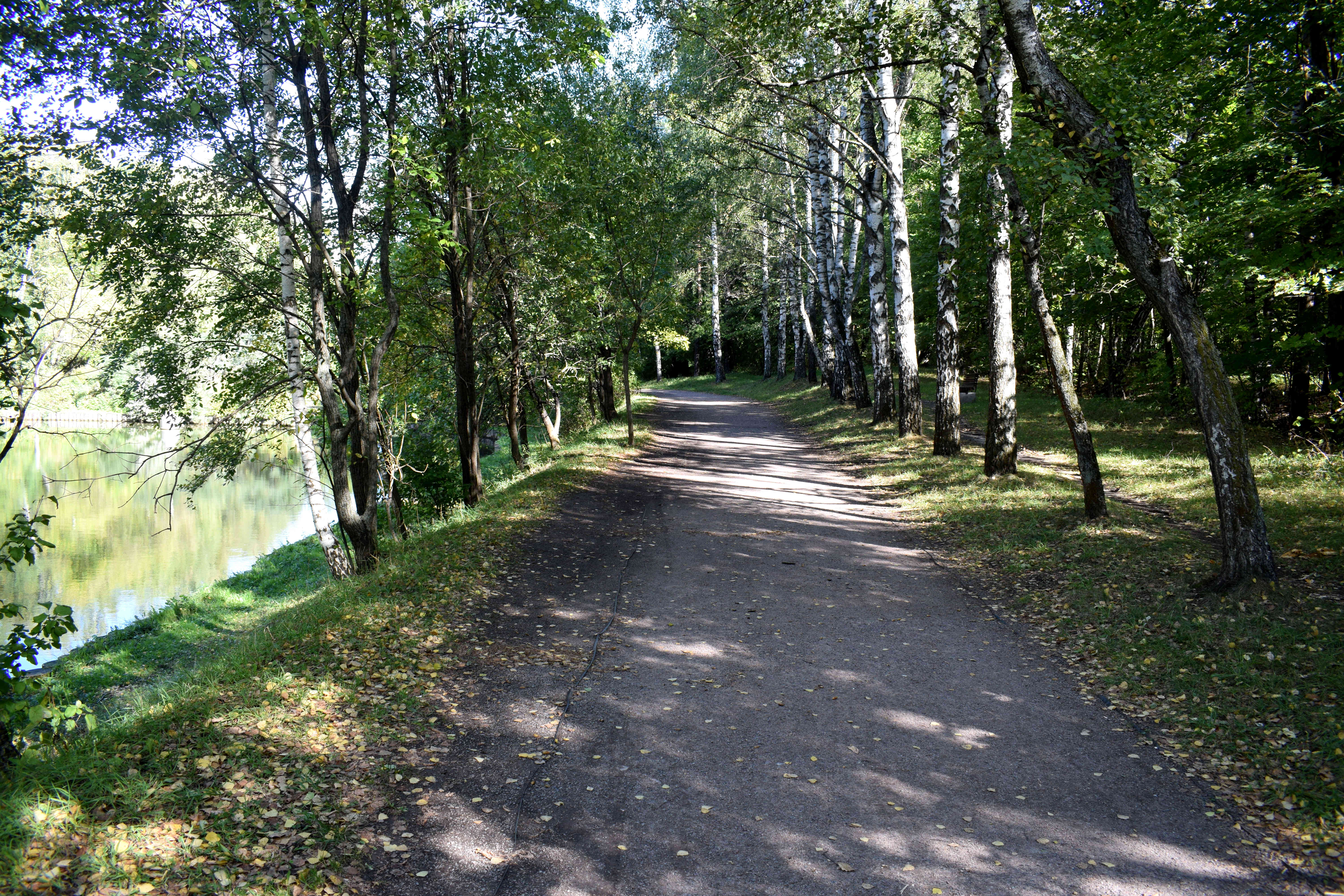 Sokolniki Park Moscow Сокольники Парк Москва