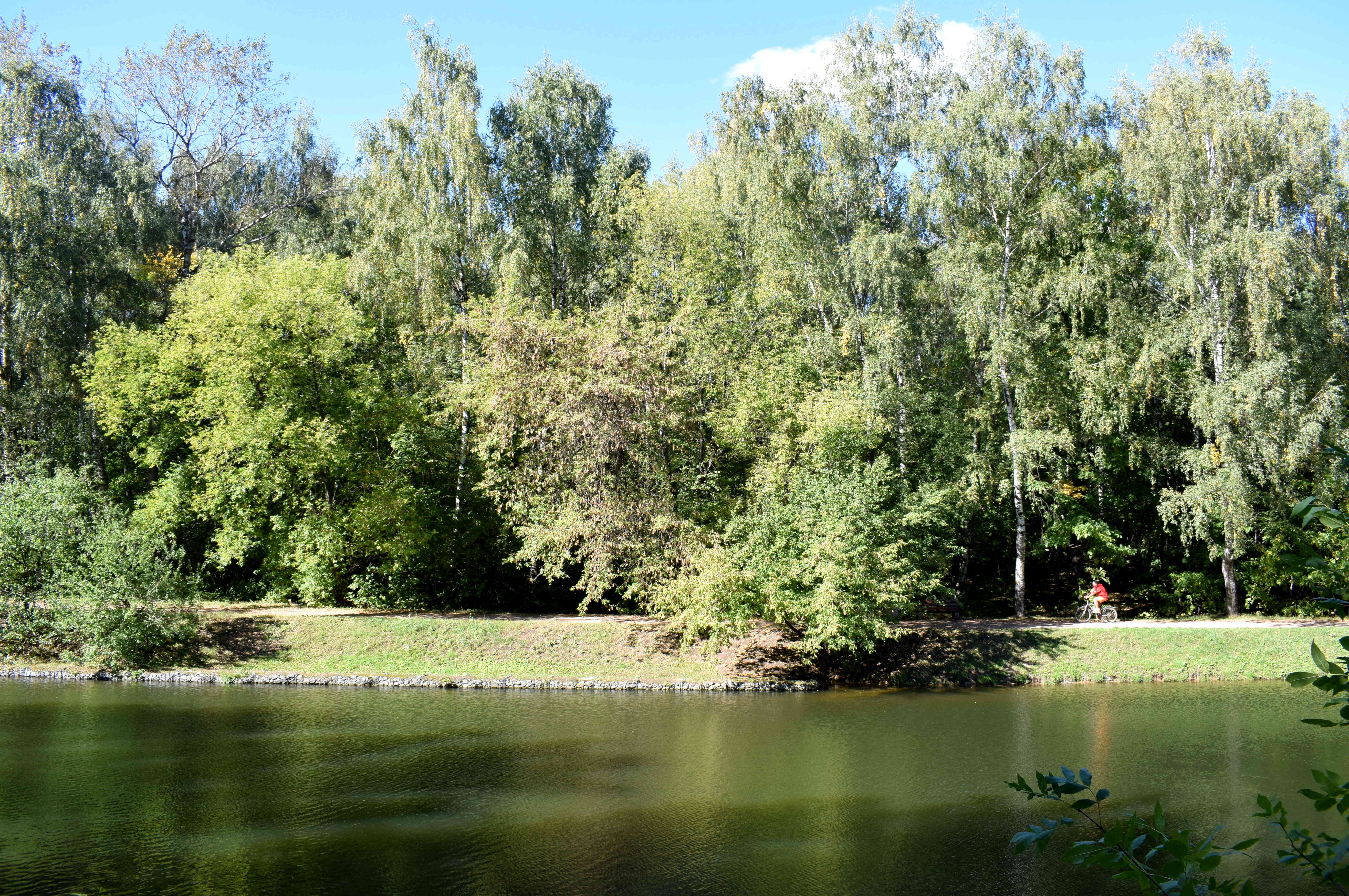 Sokolniki Park Moscow Сокольники Парк Москва