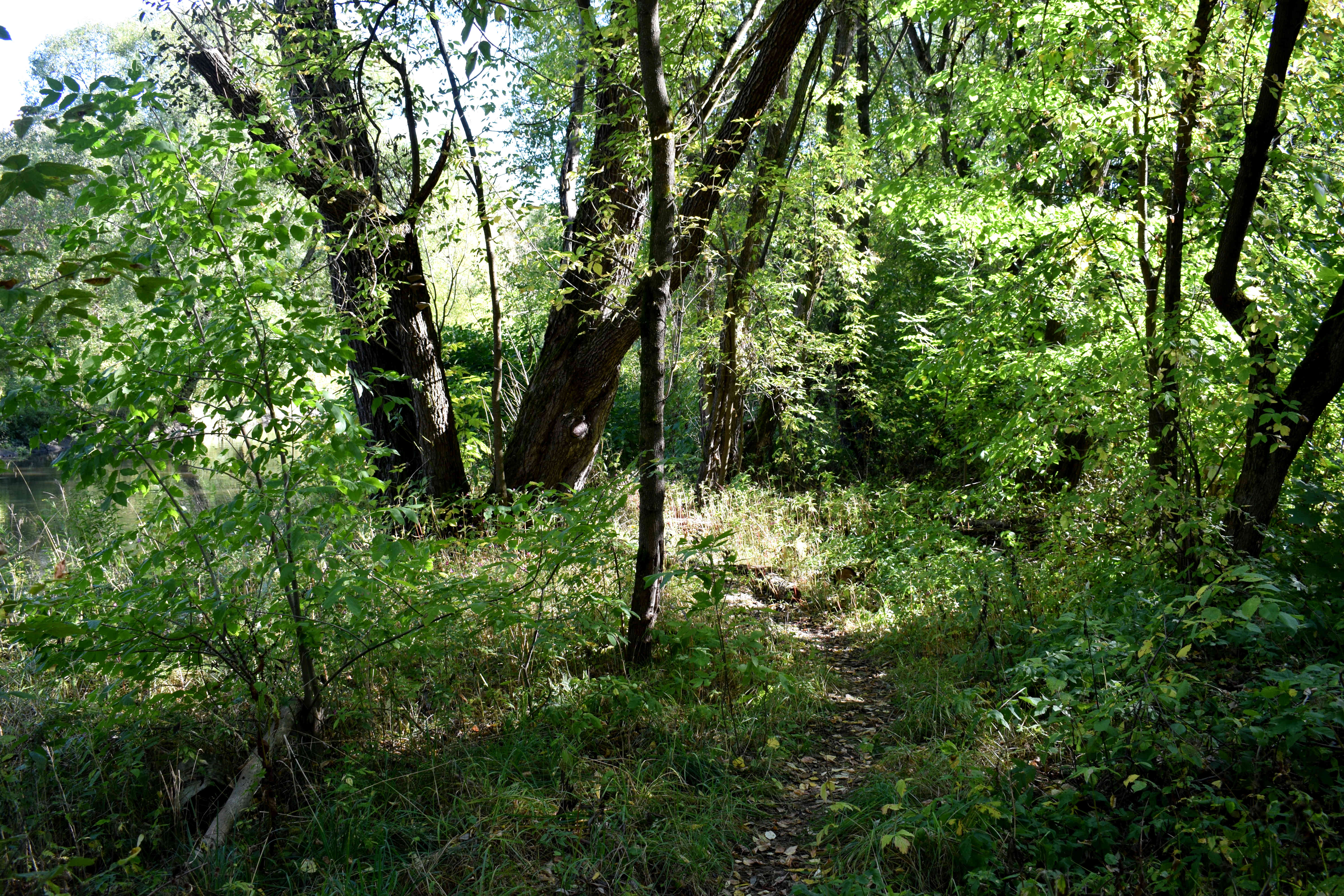 Sokolniki Park Moscow Сокольники Парк Москва