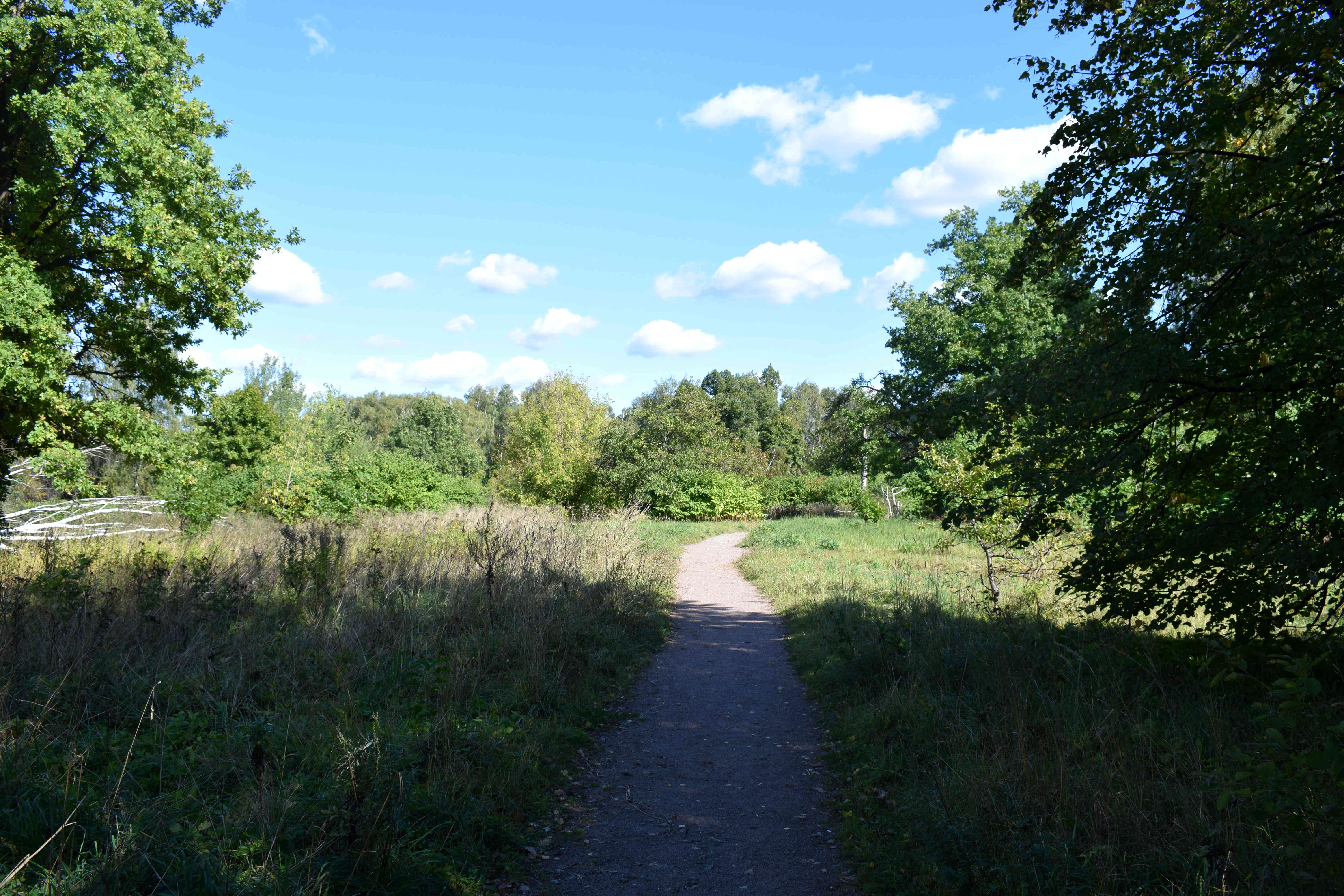 Sokolniki Park Moscow Сокольники Парк Москва