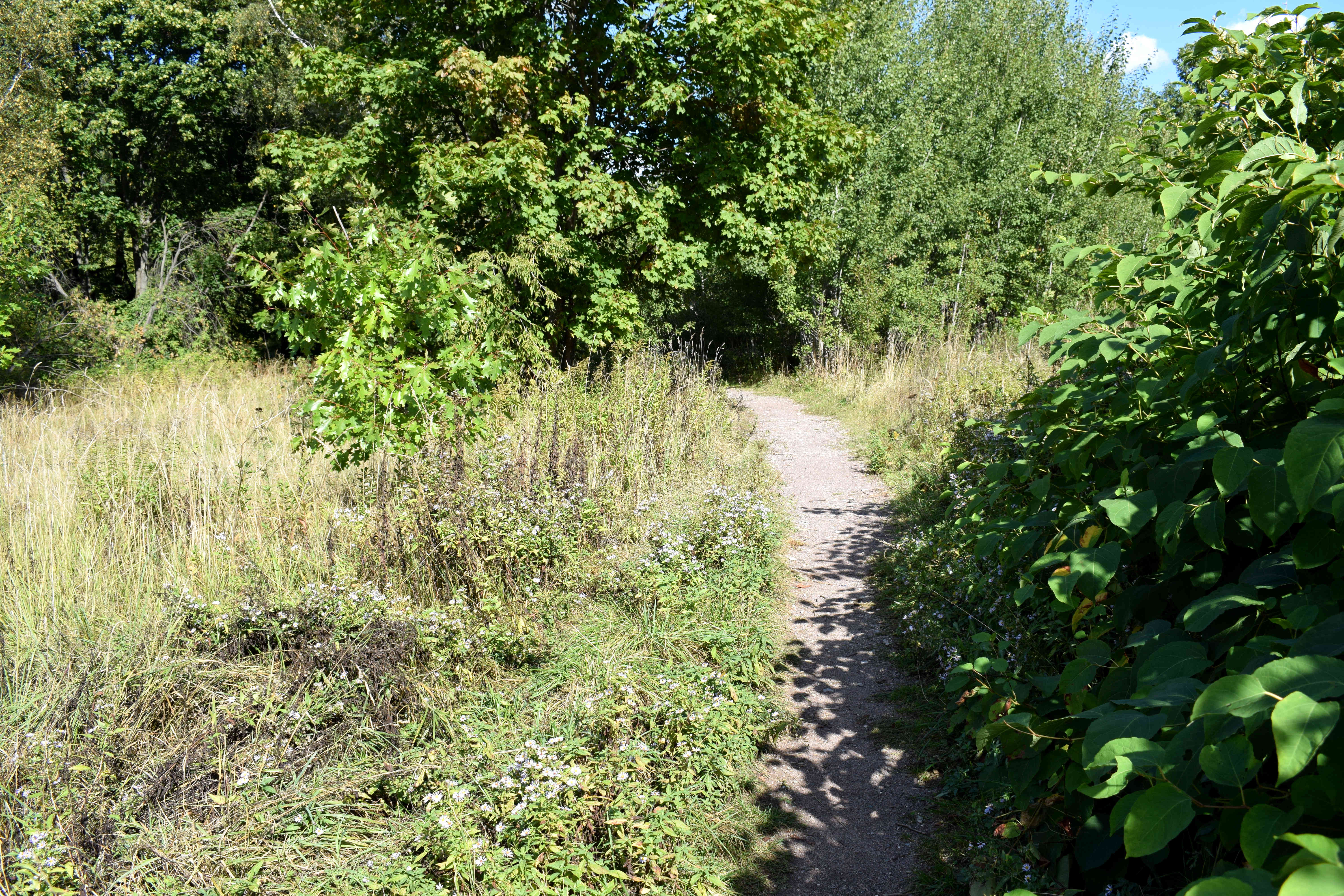 Sokolniki Park Moscow Сокольники Парк Москва