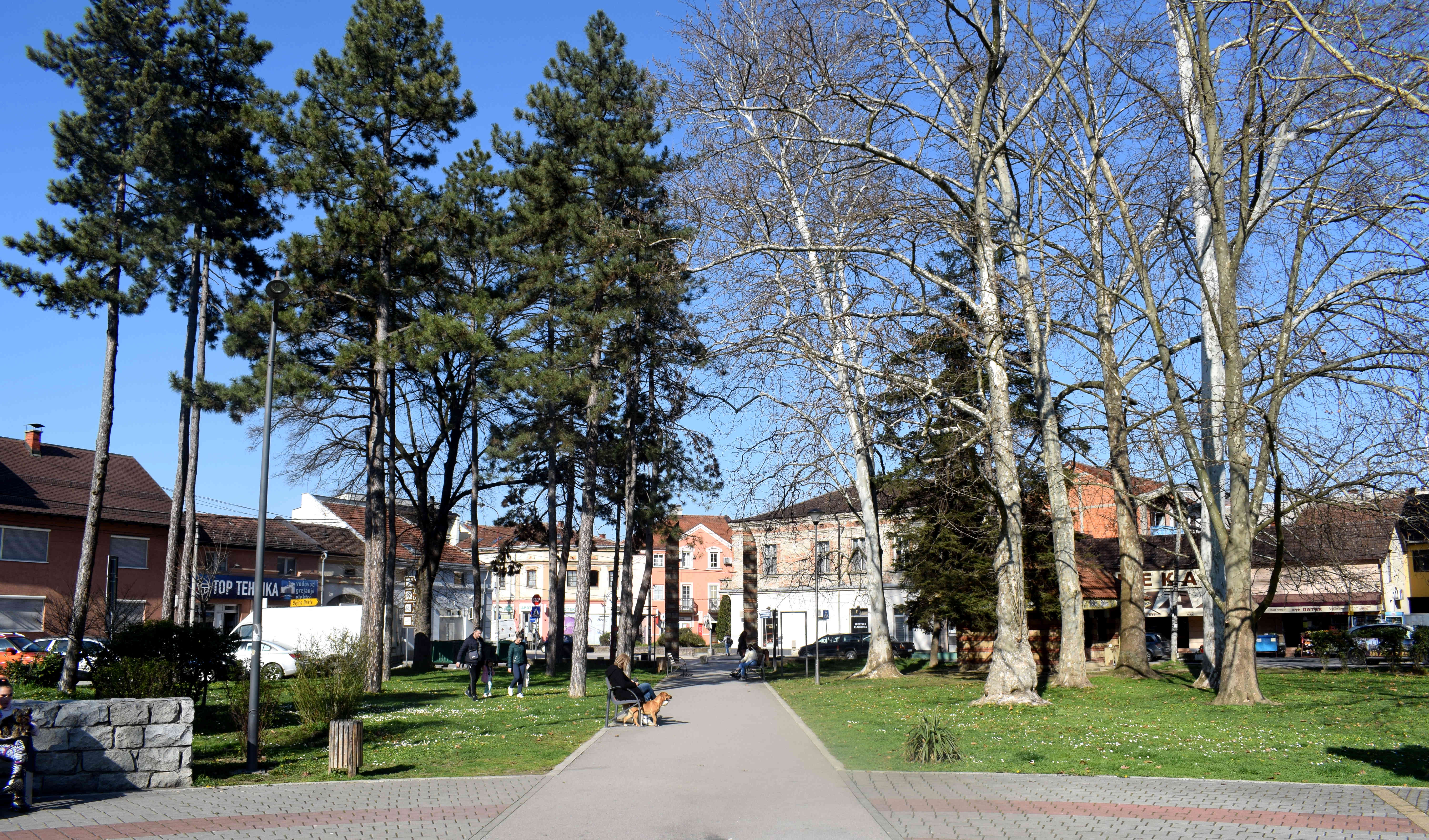 valjevo park vide jocic