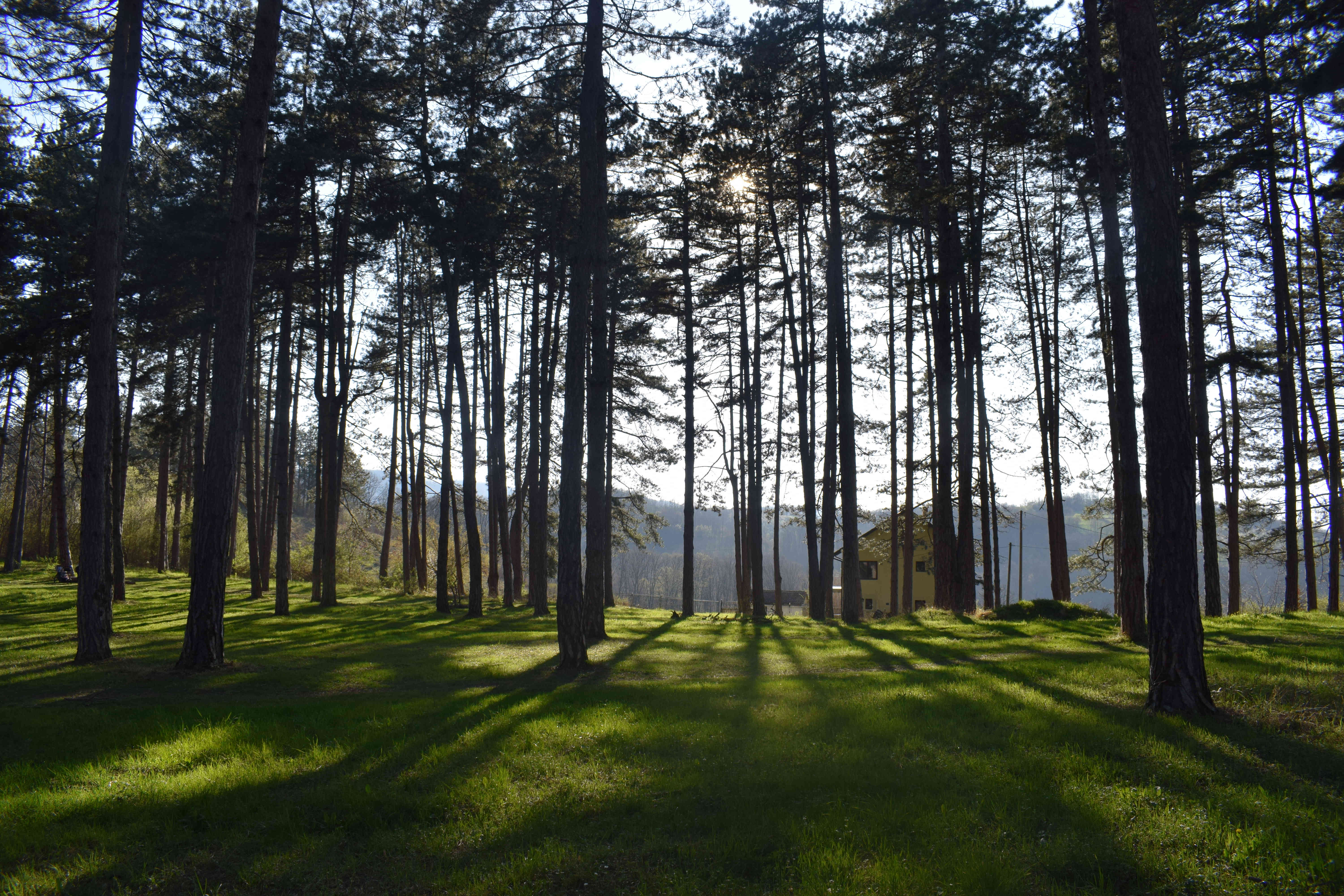 Valjevo Pecina Park