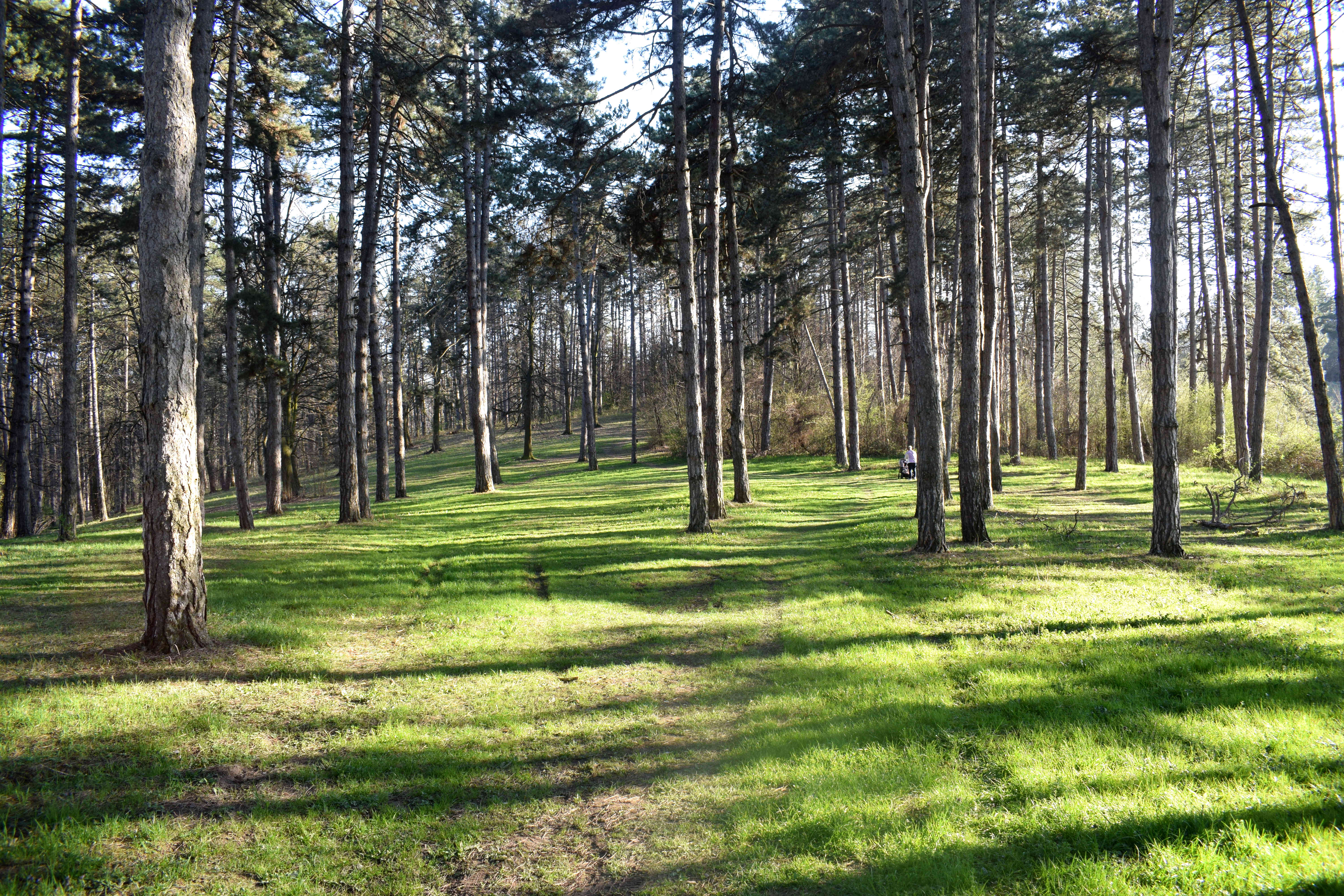 Valjevo Pecina Park